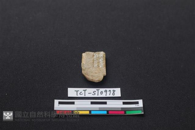 錛鑿形器藏品圖，第2張
