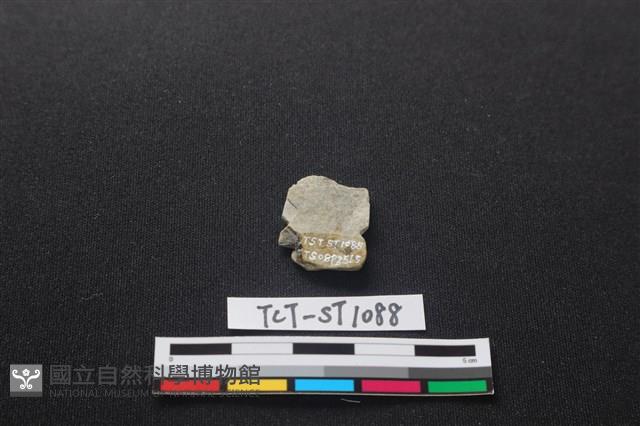 矛鏃形器藏品圖，第2張