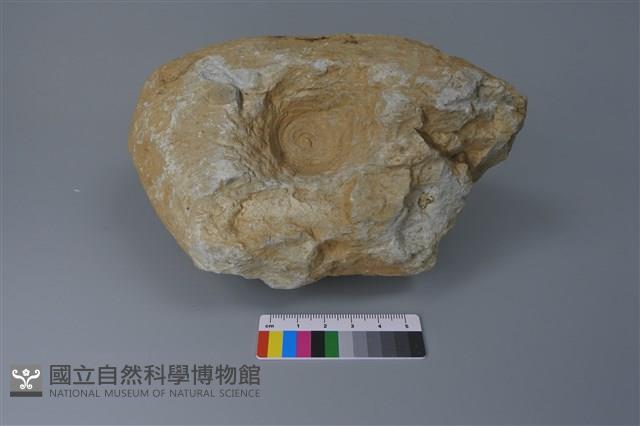 砥石藏品圖，第2張