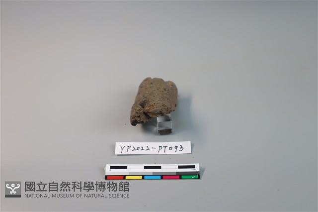 陶鈕藏品圖，第2張