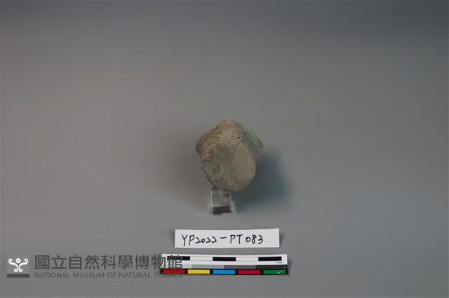 陶鈕藏品圖，第2張