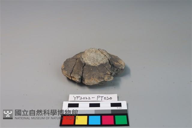 碗/淺盤型陶蓋藏品圖，第1張