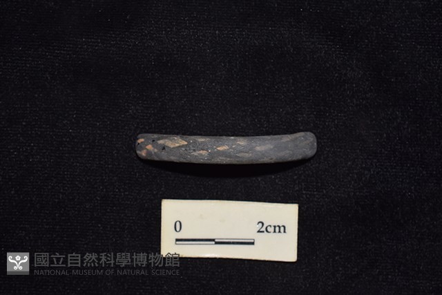 陶環藏品圖，第1張