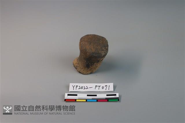 陶鈕藏品圖，第1張