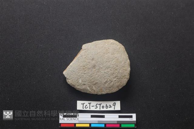 石片器藏品圖，第1張