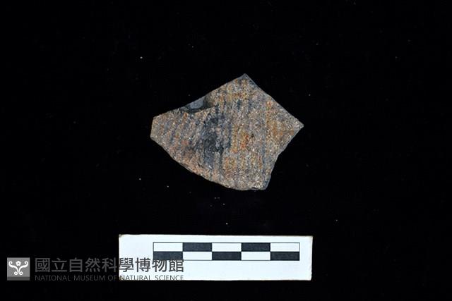 陶片藏品圖，第1張