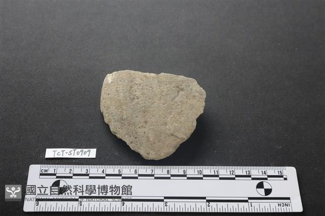 石片器藏品圖，第1張