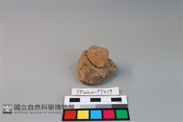 碗/淺盤型陶蓋藏品圖，第1張