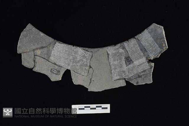 陶缽藏品圖，第1張