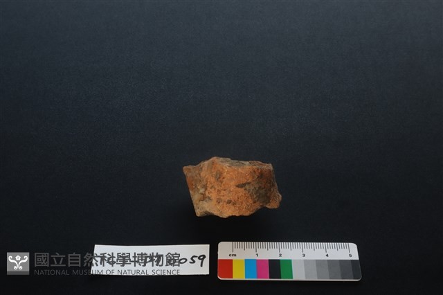 陶蓋鈕藏品圖，第1張