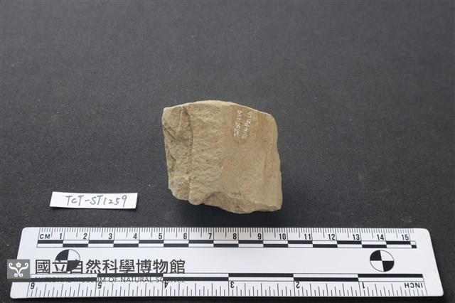 斧鋤形器藏品圖，第1張
