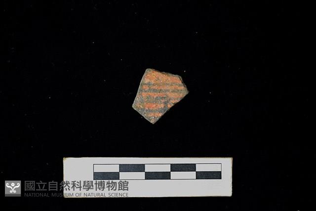 陶片藏品圖，第1張