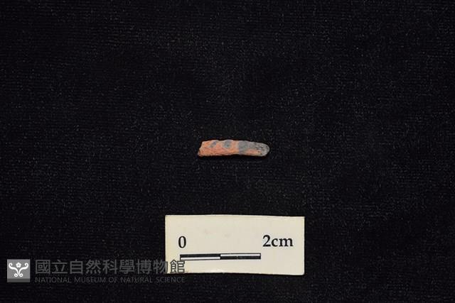 陶環藏品圖，第1張