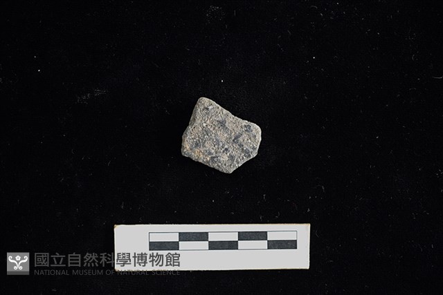陶片藏品圖，第1張
