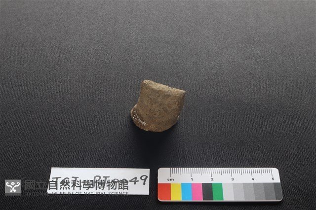 陶蓋鈕藏品圖，第1張