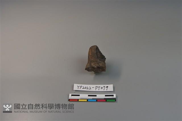 陶鈕藏品圖，第1張