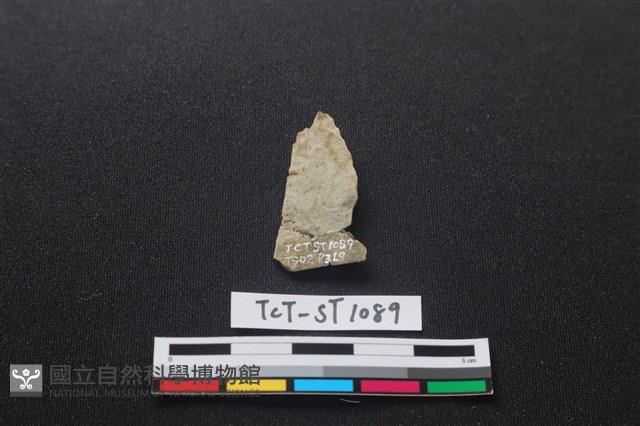 矛鏃形器藏品圖，第1張