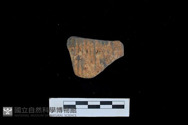 陶片藏品圖，第1張