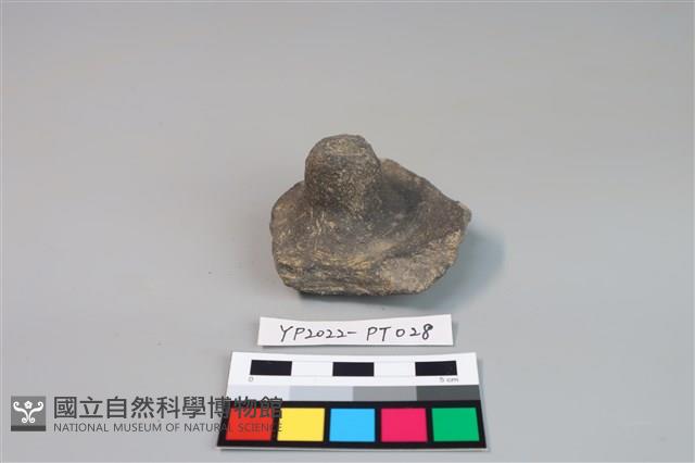 碗/淺盤型陶蓋藏品圖，第1張