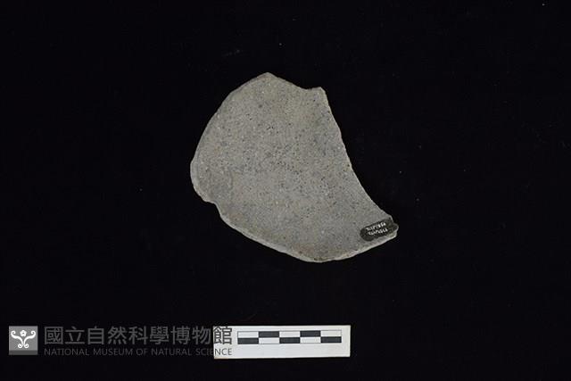 陶片藏品圖，第1張