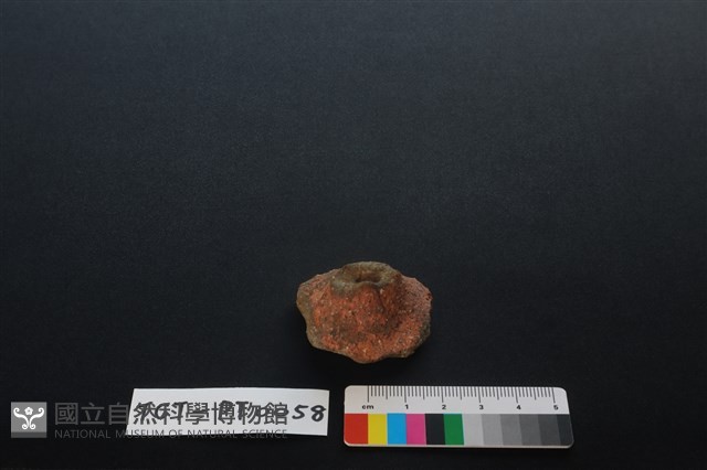 陶蓋鈕藏品圖，第1張