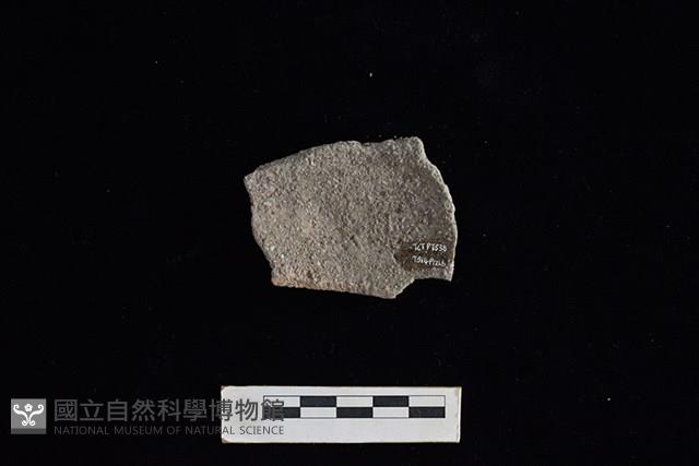 陶缽藏品圖，第1張