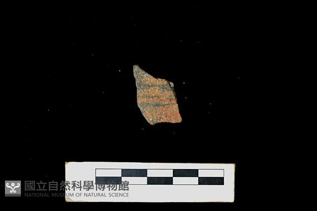 陶片藏品圖，第1張