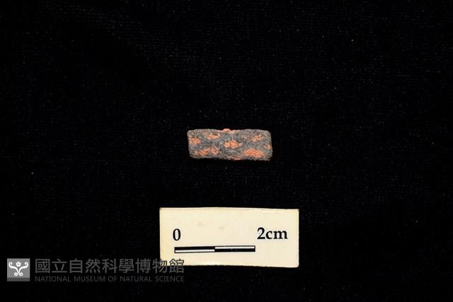 陶環藏品圖，第1張