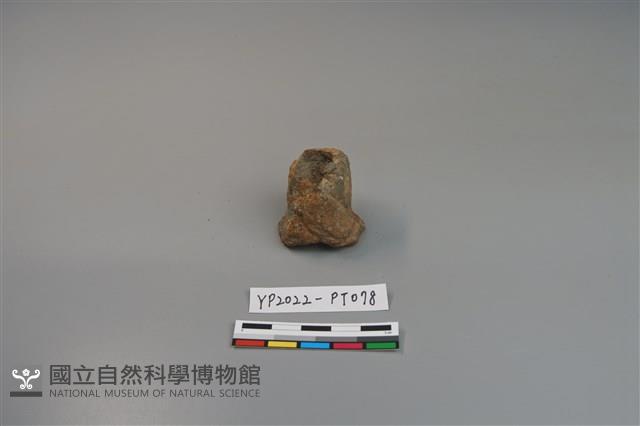 陶鈕藏品圖，第1張