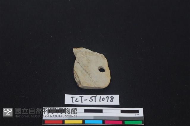 矛鏃形器藏品圖，第1張