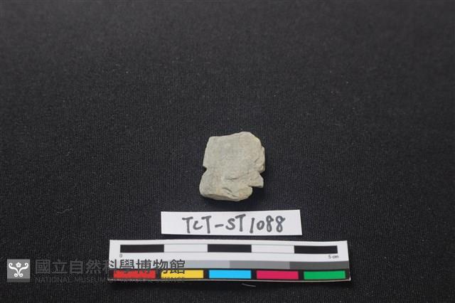 矛鏃形器藏品圖，第1張