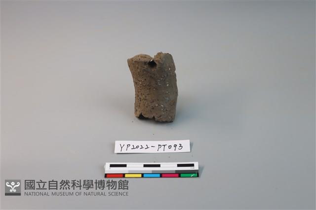 陶鈕藏品圖，第1張