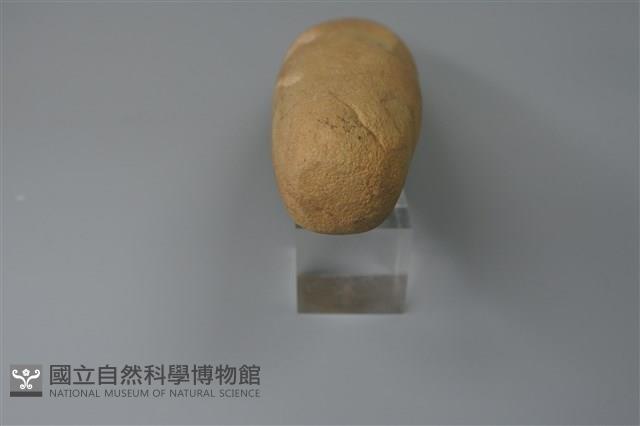 石鎚藏品圖，第3張
