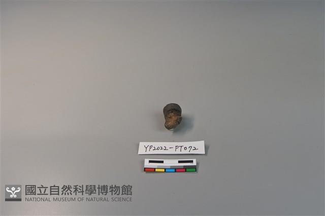 陶鈕藏品圖，第3張