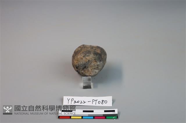 陶鈕藏品圖，第3張
