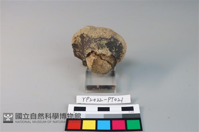 碗/淺盤型陶蓋藏品圖，第3張