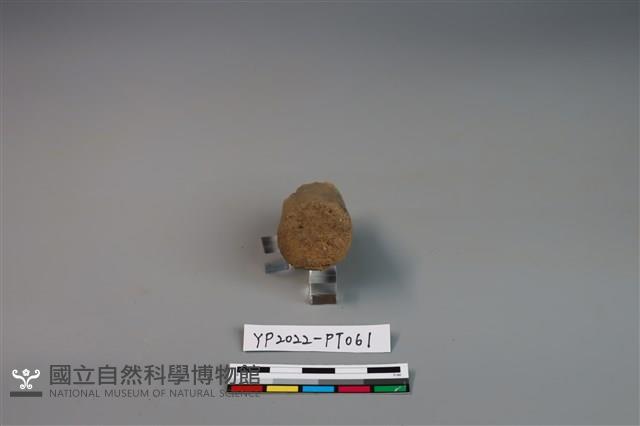 陶鈕藏品圖，第3張