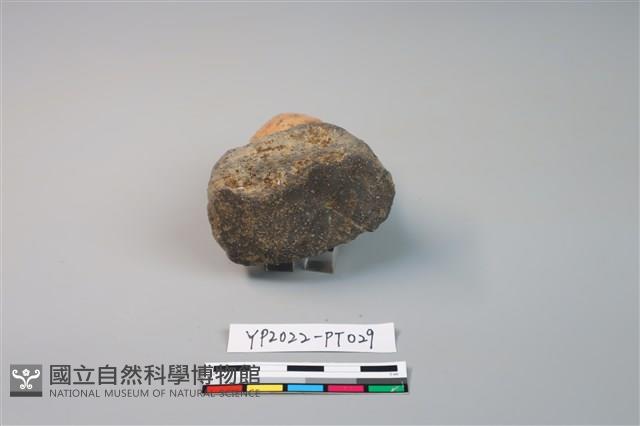 碗/淺盤型陶蓋藏品圖，第3張