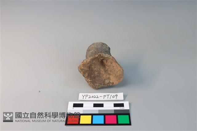 碗/淺盤型陶蓋藏品圖，第3張
