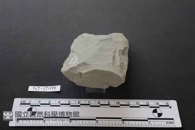 斧鋤形器藏品圖，第3張