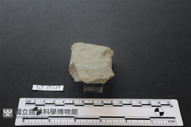 斧鋤形器藏品圖，第3張