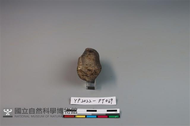 陶鈕藏品圖，第3張