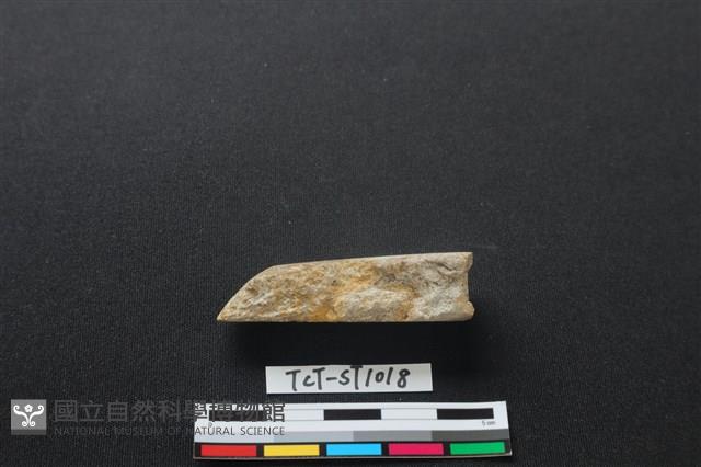 錛鑿形器藏品圖，第3張