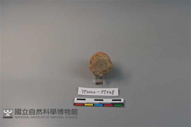 陶鈕藏品圖，第3張