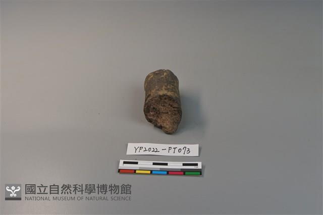 陶鈕藏品圖，第3張