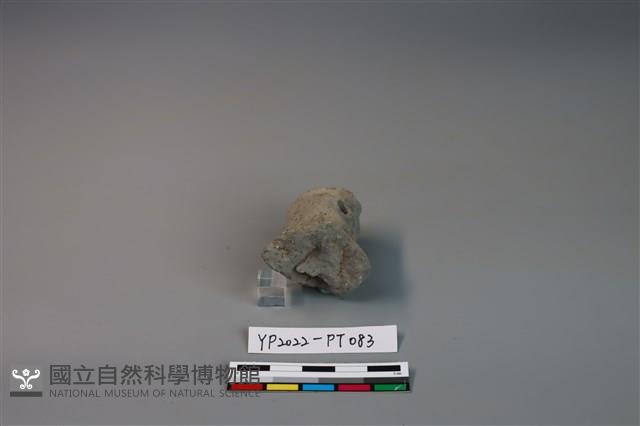 陶鈕藏品圖，第3張