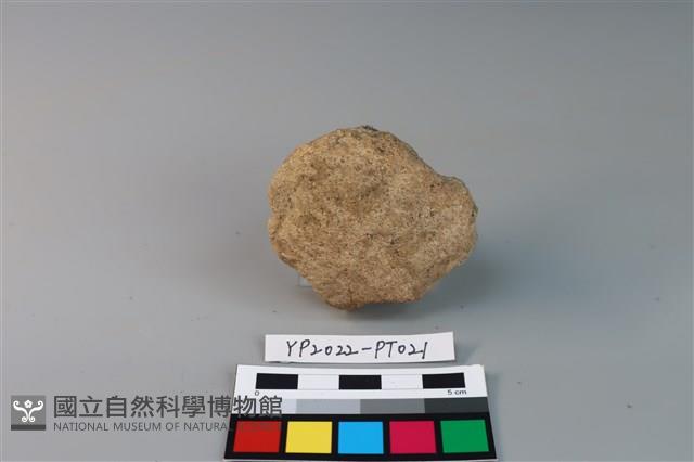 碗/淺盤型陶蓋藏品圖，第4張