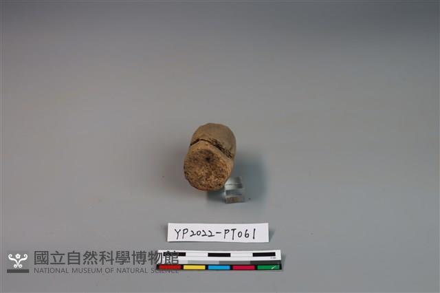 陶鈕藏品圖，第4張