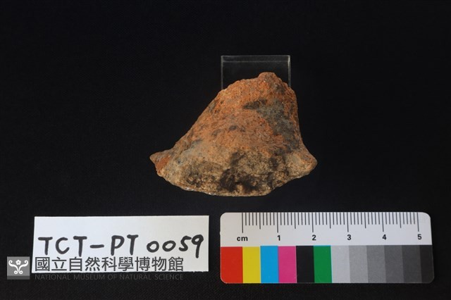 陶蓋鈕藏品圖，第4張
