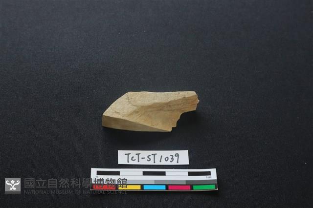 錛鑿形器藏品圖，第4張